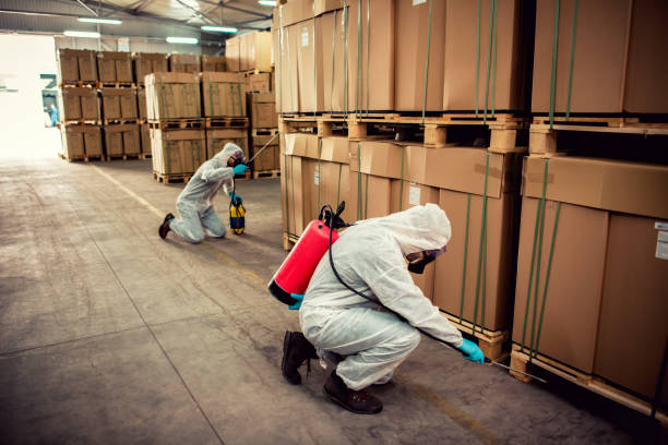 Best Mosquito Control Services  in Nash, TX