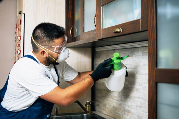 Pest Control Cost in Nash, TX