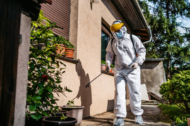Trusted Nash, TX Pest Control Experts