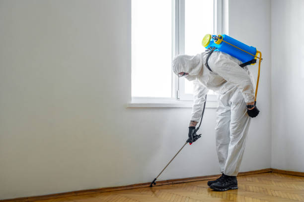 Best Mosquito Control Services  in Nash, TX