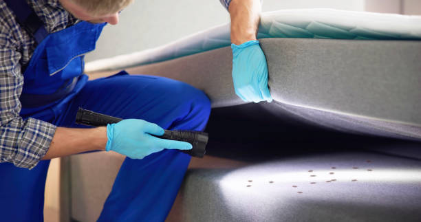  Nash, TX Pest Control Pros