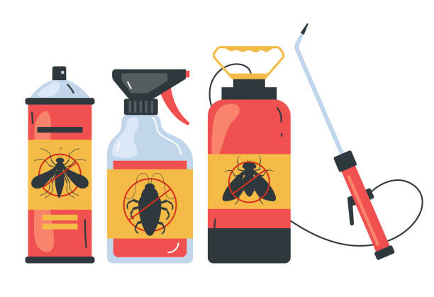 Best Local Pest Control Services  in Nash, TX